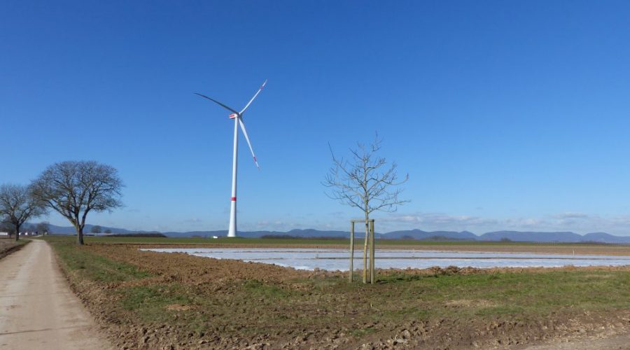 WKA-Freckenfeld_2018-02-13 bis 22_P1040193